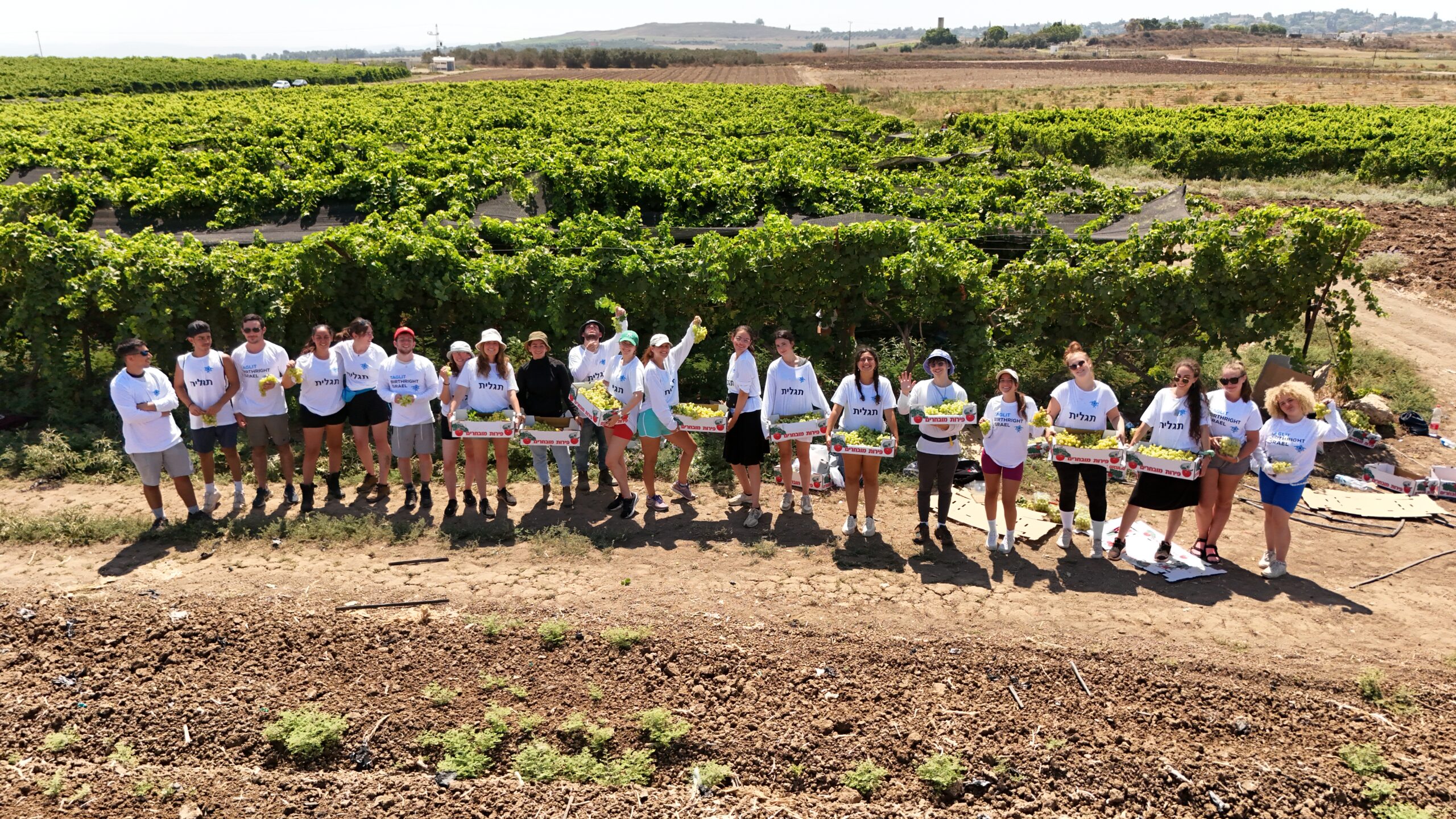 Volunteer Opportunities in Israel: Make a Real Impact